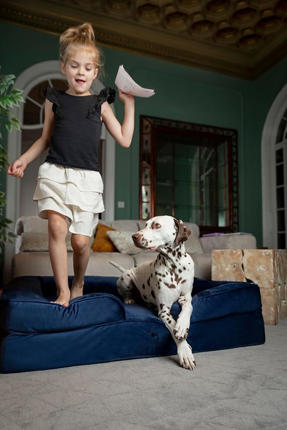 NOAH & PAW XL Dog Bed, 45x35x11 Inch, Orthopedic Large Dog Beds, Eggshell Memory Foam Infused with Cooling Gel, Inner Cover, Water Resistant, Machine Washable (Denim Sofa Collection) - Image 7
