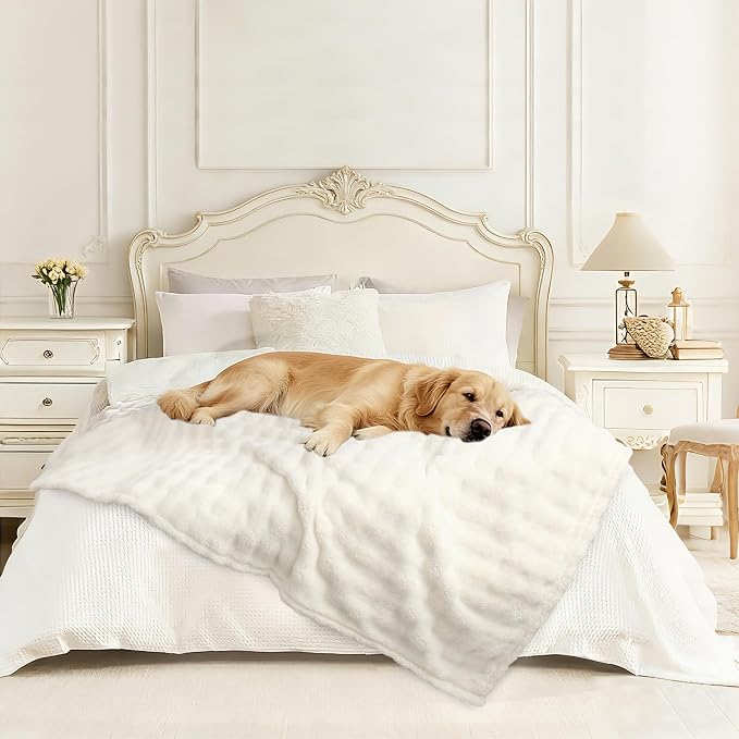 Dog Blankets Washable Pet Blanket - Fluffy Fuzzy Cat Puppy Blanket with Premium 300GSM 3D Fleece Bubble for Pet Kitten Doggy, Cream, 60x80IN - Image 6