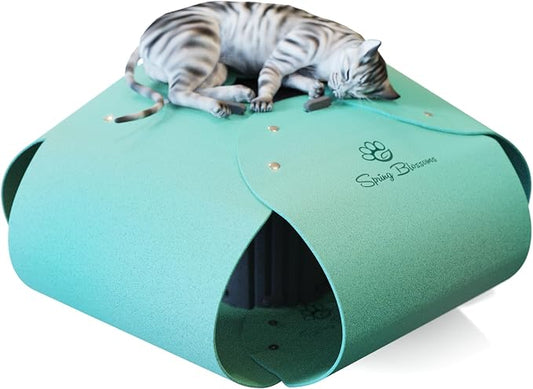 Cat Tunnel, Cat Cave for Indoor Cats Bed,Scratch Resistant Cat Toys for Medium Large Cats Hide and Seek Toy (Sky Cyan) by SPRINGBLOSSOMS