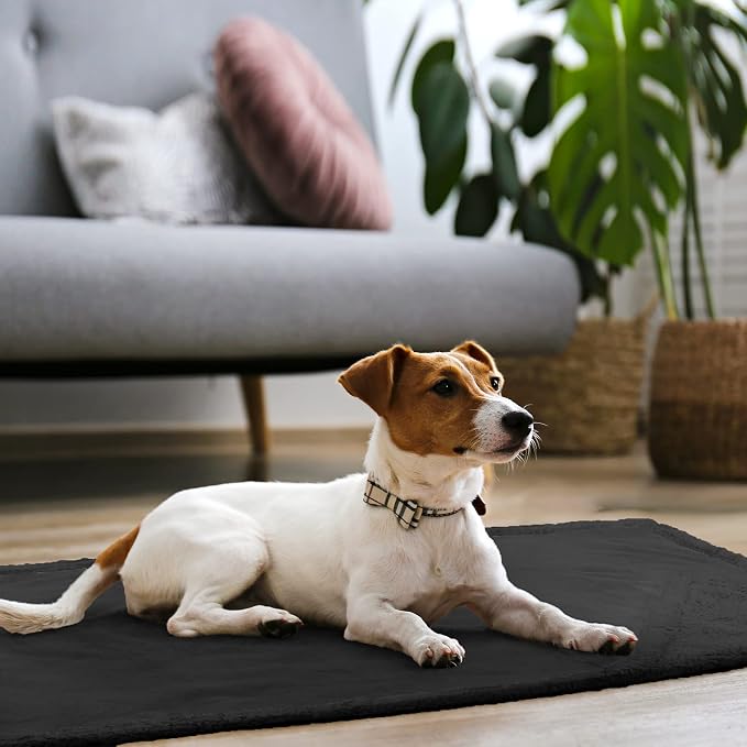 Kritter Planet Waterproof Reversible Pet Blanket for Small Dogs | 30 x 50 Inch, Washable Pet Protector for Sofa, Couch, Crates and Car Seats, Guards Against Fur, Dirt and Everyday Spills - Image 6