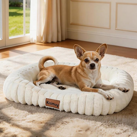 Orthopedic Dog Bed, Washable Small Dog Couch for Senior Dogs | 25L x 21W x 4H, Egg-Crate Foam, Low Front Entry Design, Removable Cover, Non-Slip Bottom, Small Dogs, Cream by Unknown