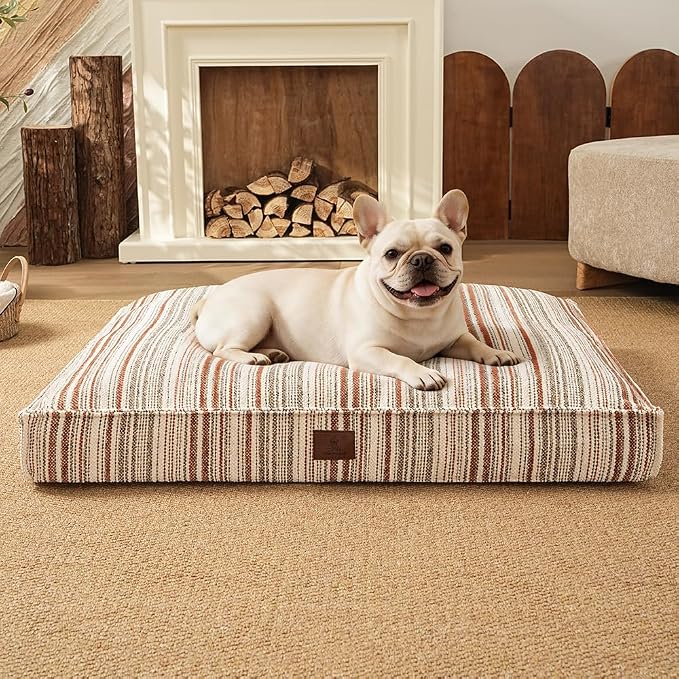 SOMAHE 4 Inch Orthopedic Dog Bed for Crate, 27 x 20 Inch, Orange Chenille | Washable Removable Cover, Waterproof Inner Liner, Non-Slip Bottom, Orthopedic Dog Crate Mattress for Medium & Large Dogs by COZYHOMECHICSTYLE