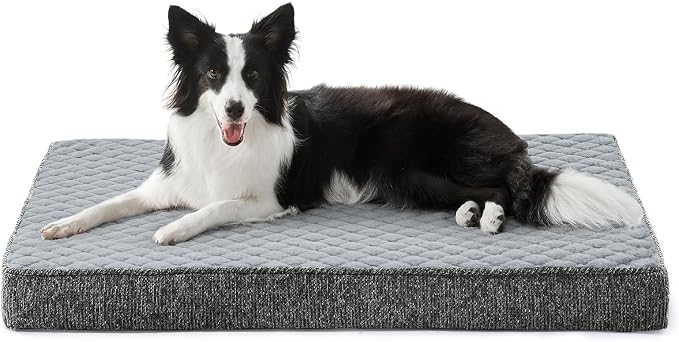 JOEJOY Orthopedic Dog Bed for Large Dogs, Washable Dog Crate Bed Large Sized with Removable Cover, Egg Memory Foam Big Pet Beds, Light Grey, 35"x22" by JOEJOY