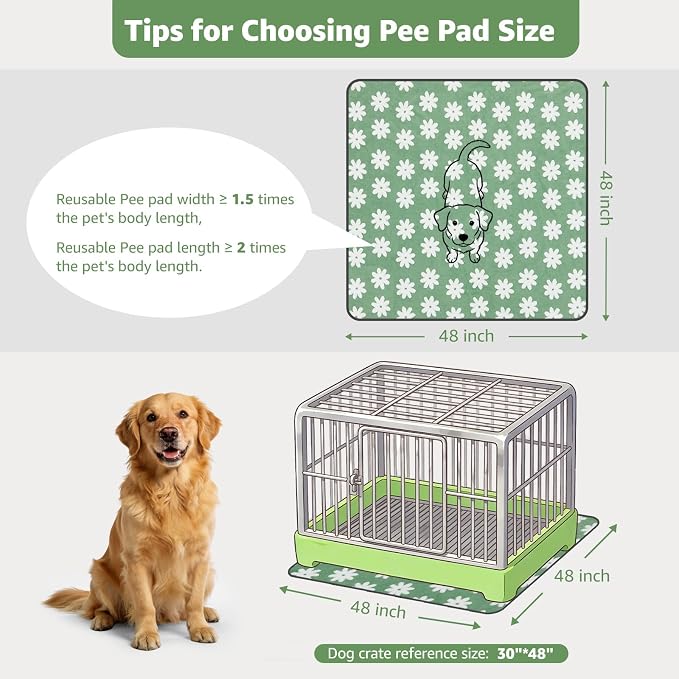 LOOBANI Extra Large Whelping Pad, 48"x48" Dog Pee Pads Washable, 2 Pack | Soft Reusable Dog Playpen Mat, Fast Absorbent, Non Slip, Waterproof And Leakproof For Floor, Crate, Potty Training - Image 2