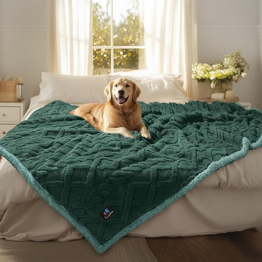 Luciphia Waterproof Blanket for Twin Bed Reversible Fleece Couch Cover | Reversible waterproof pet blanket with soft Sherpa fleece; machine washable, protect couch bed car, Green-thicken 85" x 57" by luciphia