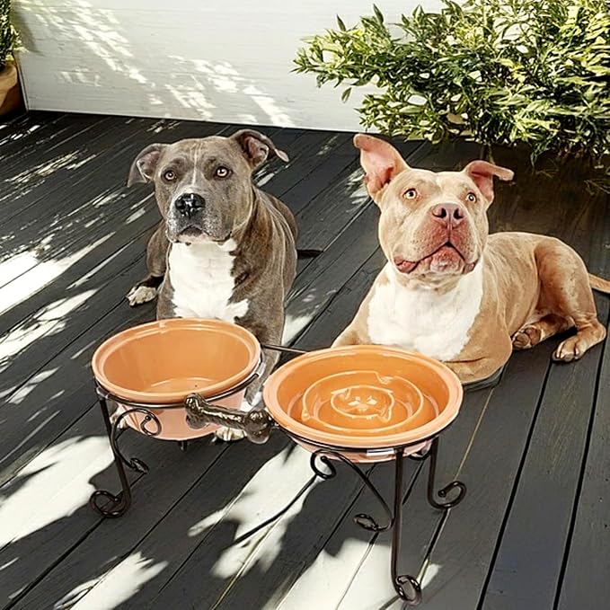 Elevated Dog Bowl Stand with 3 Large Ceramic Bowls – Raised Feeding Station for Medium & Large Dogs, Includes 2 Standard Bowls + 1 Slow Feeder, Durable Iron Frame, Non-Slip (Almond) - Image 2