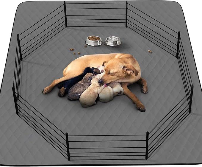 Washable Reusable Dog Pee Pads, 82"x120" Absorbent & Waterproof Puppy Training Pad for Crate, Playpen & Carpet, Large Potty Pads for Dogs, Cats & Small Pets by CooShields