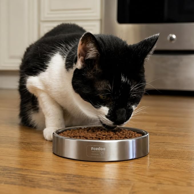 Double Wall Stainless Steel Cat Bowl, Whisker Friendly Wide & Shallow 8 oz Cat Food Bowl, Heavy Duty Non-Slip Base, Dishwasher Safe Metal Bowl for Cats & Small Puppies [2Pack] - Image 4