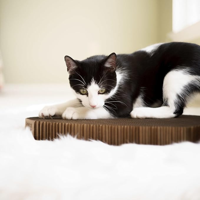 Cat Scratcher by Americat – Made in USA Cardboard Scratching Pad & Lounger – X Large, 2-Sided, Heavy, No-Shedding, Long-Lasting (Cat) - Image 7