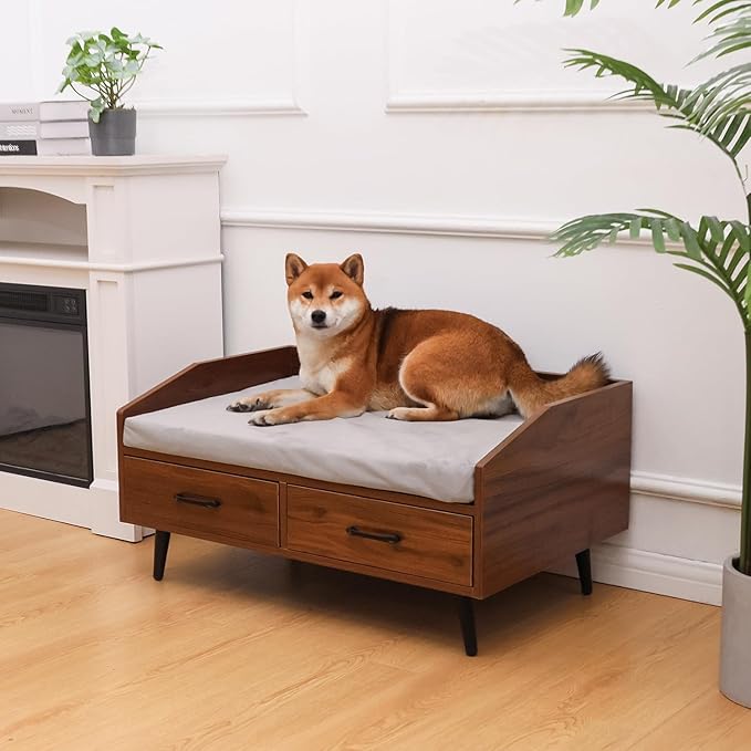 Elevated Dog Bed for Small to Medium Dogs – 32” x 21” Indoor Wooden Pet Sofa with Soft Cushion, Mid-Century Modern Style, Sturdy & Stylish (Walnut)