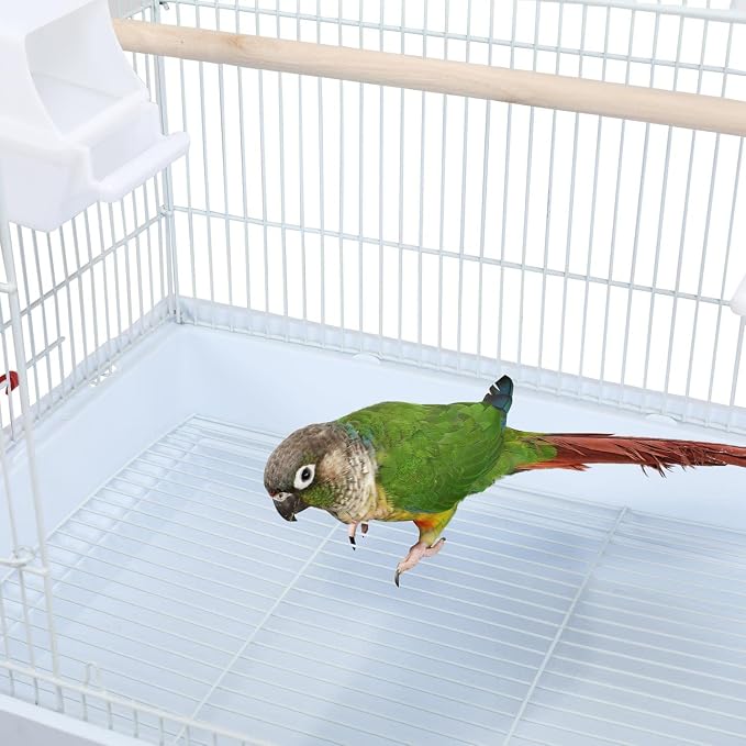 Yaheetech 41'' Open Top Medium Size Quaker Parrot Bird Cage Cockatiel Indian Ring Neck Sun Parakeet Green Cheek Conures Lovebird Budgie Canary Finch Parrotlet Bird Cage, White - Image 8