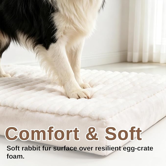 Orthopedic Dog Bed for Small Dogs,Firm Egg Crate Foam,Non-Slip Bottom,Beige | Soft Plush Surface,Removable Machine Washable Cover,Ideal for Crates & Small Spaces,Designed for Joint Support,23"x17"x3" - Image 4