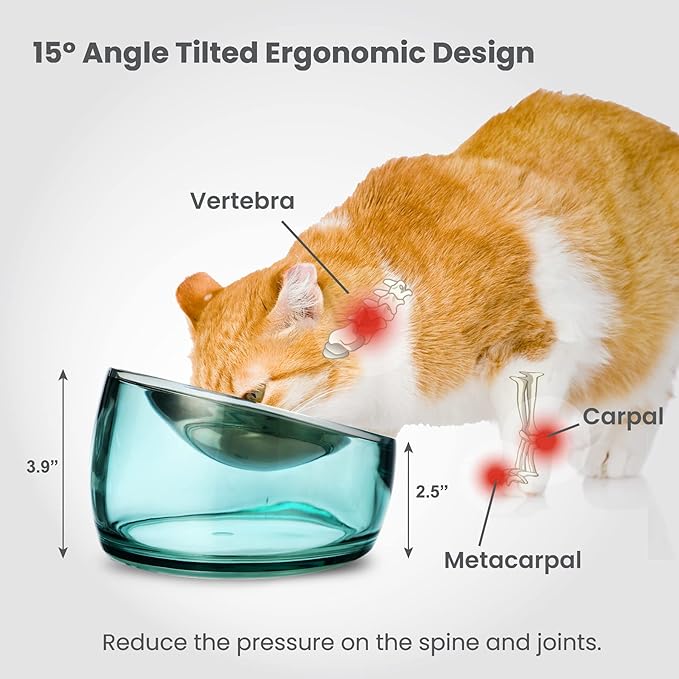 Felli Oblik Elevated Cat Bowl Removable Stainless Steel Wide Dish for Dry Wet Food Feeding & Dishwasher Clean, Slanted Whisker Fatigue Friendly Metal Plate (Classic, 0.5 Cups Shallow Dish) - Image 5