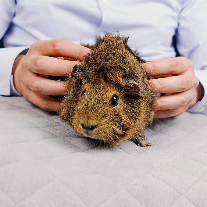 GuineaDad Original Liner - Gray Fleece Guinea Pig Bedding - Reusable Guinea Pig Cage Liner - Extra Absorbent Liner with Waterproof Bottom - Small Pet Supplies - Image 6