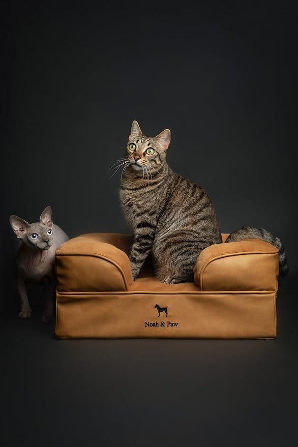 NOAH & PAW Small Dog Bed, 20x15x8 Inch, Cat Bed for Indoor Cats, Orthopedic Eggshell Memory Foam Infused with Cooling Gel, Water Resistant Inner Cover Machine Washable (Faux Leather) - Image 7