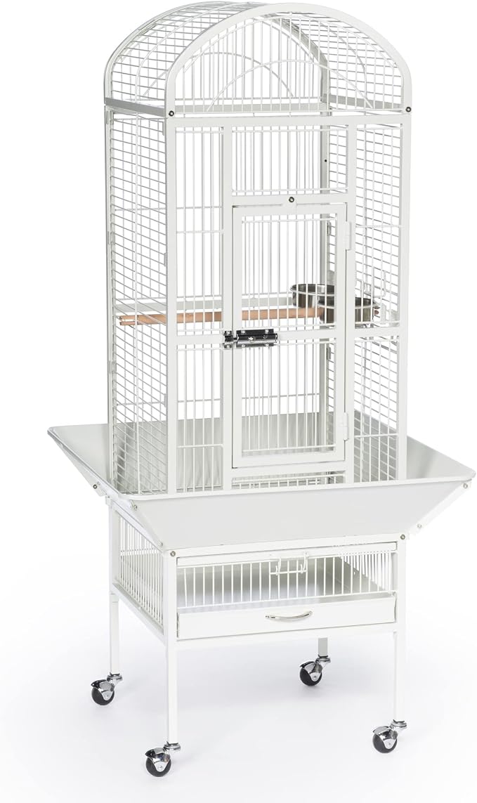 Prevue Pet Products Dome Top Bird Cage - Powder‑Coated Steel Cage with Wheels, Push Button Locks, Seed Guards and Perch, Ideal for Cockatiels, and All Small-Medium Sized Birds - Chalk White by PrevuePetProducts