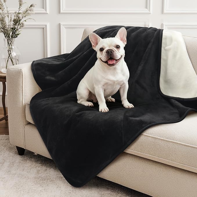 LOOBANI Waterproof Dog Blanket for Small Dogs, Pet Blanket 30" x 40", Black | Double Side Liquid-Proof, Puppy Blanket for Dog Cat Bed, Crate, Playpen, Reversible Soft Flannel, Couch Cover Throw by LOOBANI