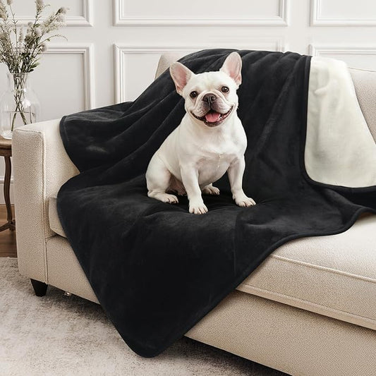 LOOBANI Waterproof Dog Blanket for Small Dogs, Pet Blanket 30" x 40", Black | Double Side Liquid-Proof, Puppy Blanket for Dog Cat Bed, Crate, Playpen, Reversible Soft Flannel, Couch Cover Throw by LOOBANI