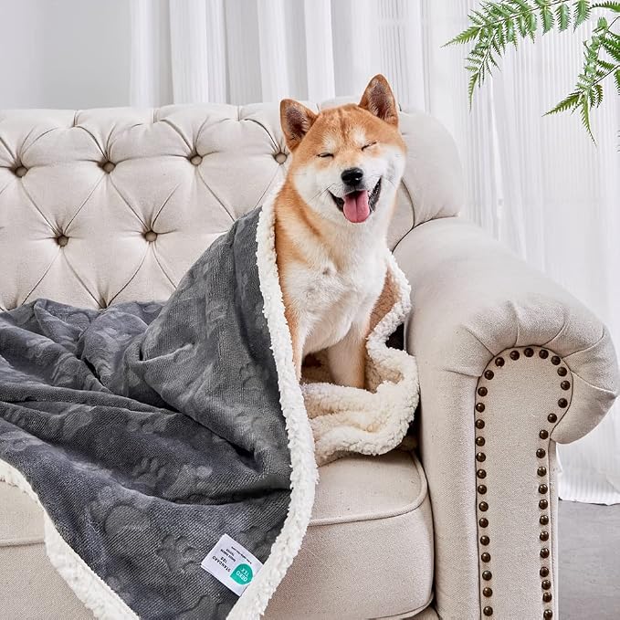 Qeils Dog Blankets for Small Dogs - Waterproof Cat Blanket Washable - Sherpa Fleece Puppy Blanket, Soft Plush Reversible Throw Protector for Bed Couch Car Sofa, 30"X40", Dark Grey by Qeils