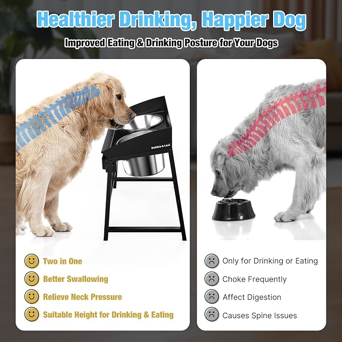 Bobbie & Laxi 15" Tilted Elevated Dog Bowl, Spill-Proof with Plastic Guard | For large dogs; raised stand with smooth plastic edge, 2 stainless steel bowls; 10° tilted stand keeps floors mess-free - Image 6