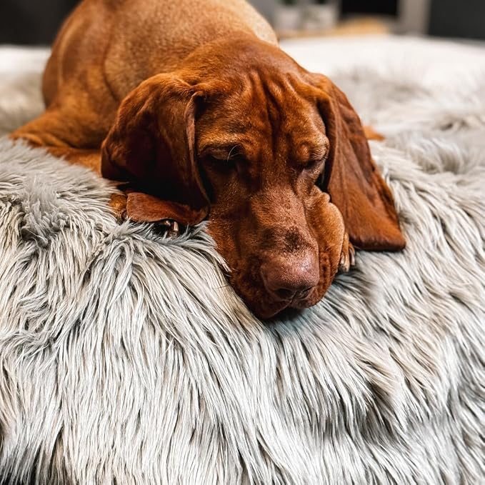 IHAPPYDOG Faux Fur Dog Blanket, Waterproof Couch Cover, Grey 80"x60" | Plush Sheepskin Style Pet Throw for Sofa, Bed, and Car, Washable Furniture Cover that Protects From Fur and Spills - Image 5