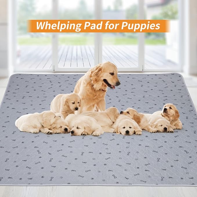 Pee Pads for Dogs Washable,34x52 Reusable Puppy Pads, Absorbent Whelping Pads with Bone Print, Non-Slip Waterproof Pet Training Pads for Couch, Crate, Potty Training - Image 8