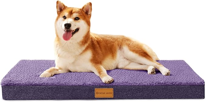 Patas Lague Orthopedic Large Dog Bed Washable Pet Sofa Mat 36''X24''Purple | Egg-Crate Foam Dog Couch For Large Sized Dogs, Waterproof Removable Cover, Soft Pet Crate Bed With Nonskid Bottom by PatasLague