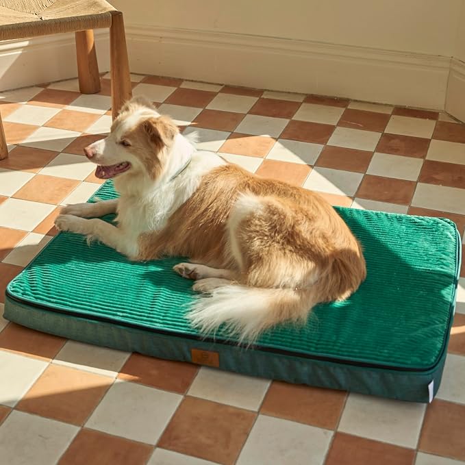 LIORCE Memory Foam XL Dog Bed - 4” Thick Orthopedic Beds for Extra Large Dogs - Waterproof Dog Bed with Removable Washable Cover & Wrap-Around Zipper - Ultimate Comfort and Easy Maintenance, Green - Image 8