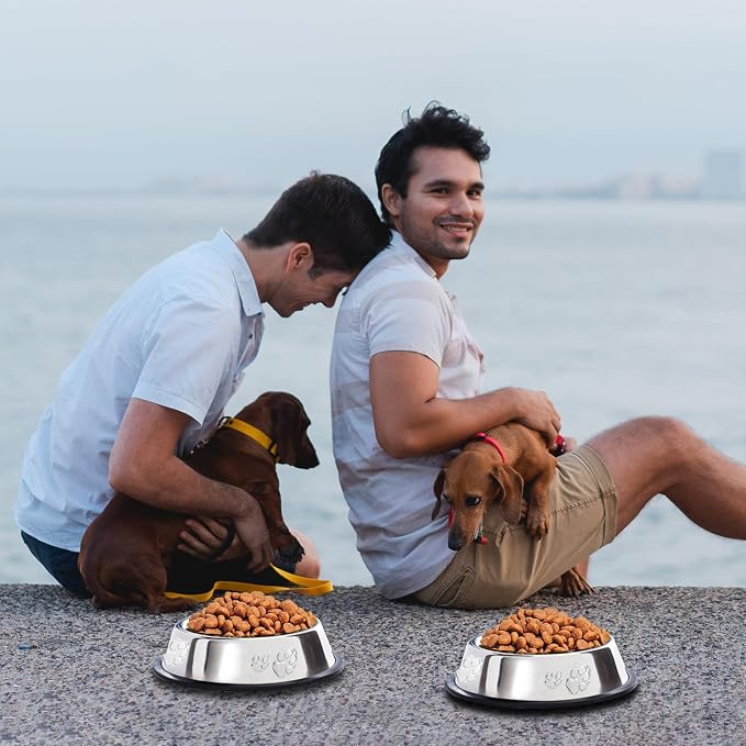 10 Pcs Stainless Steel Dog Bowl Pet Feeding Bowl with Rubber Base Non-Slip Pet Dishes Metal Dog Bowls Pet Food and Water Bowls for Small Medium Animals Kitten Rabbit (30 oz) - Image 5