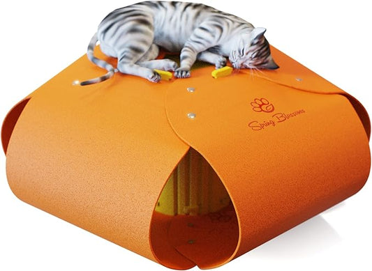 Cat Tunnel, Cat Cave for Indoor Cats Bed,Scratch Resistant Cat Toys for Medium Large Cats Hide and Seek Toy (Amber Orange) by SPRINGBLOSSOMS