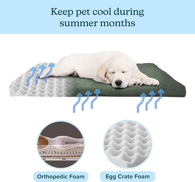 Petmaker Water-Resistant Dog Bed - Orthopedic Dog Bed with Removable Washable Cover, Non-Slip Bottom, and Egg Crate Style Foam - 44in Large Pet Mattress - Puppy Essentials (Green) - Image 3