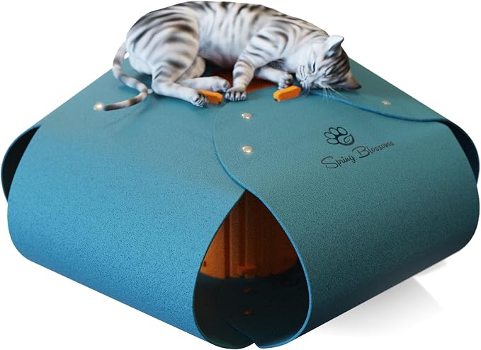 Cat Tunnel, Cat Cave for Indoor Cats Bed,Scratch Resistant Cat Toys for Medium Large Cats Hide and Seek Toy (Peacock Blue) by SPRINGBLOSSOMS