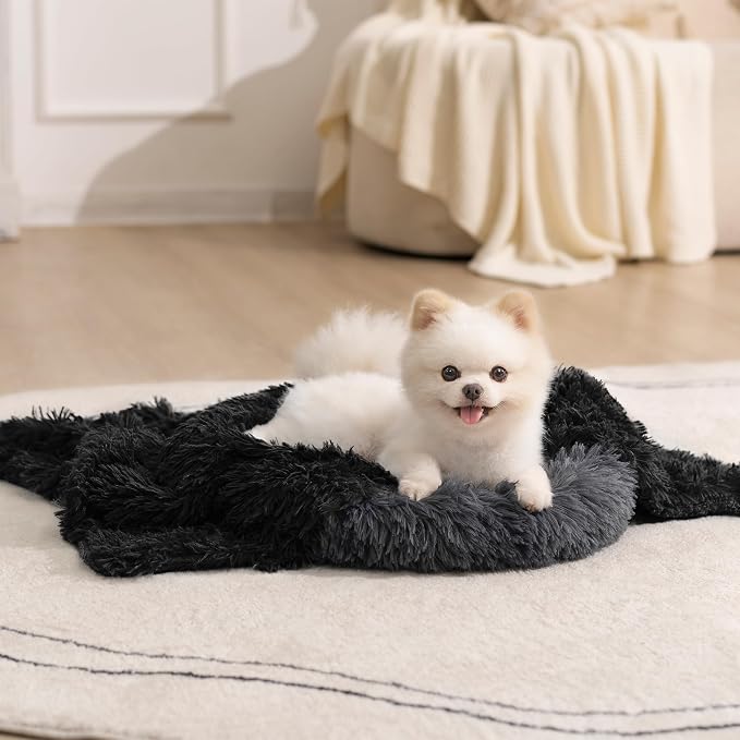 gogobunny Waterproof Dog Blanket for Couch & Furniture Protection - Super Soft Reversible Throw for Large Dogs & Cats, Calming Washable Fur & Sherpa Pet Blanket (25x35 Inch, Black) by gogobunny