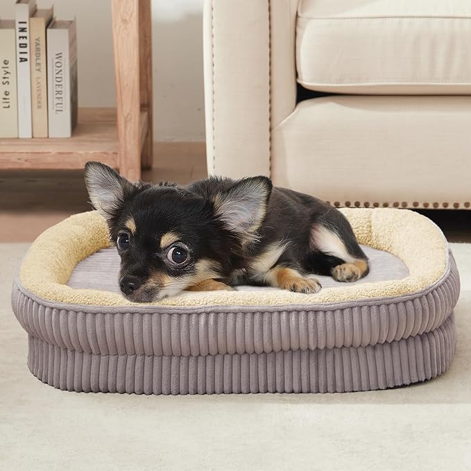 Orthopedic Dog Bed for Puppy,Extra Small Dogs Breeds,Oval Cat Bed,High Density Egg Crate Foam Dog Sofa Beds,Pet Couch Bed with Four Sided Bolster,Removable Washable Cover&Non-Slip Bottom by DEBANGHOME