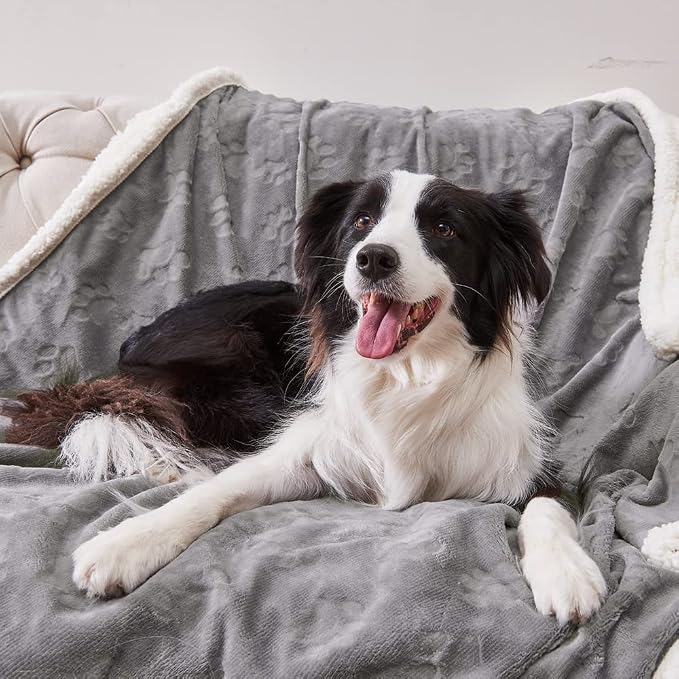 Qeils Dog Blankets for Large Dogs - Waterproof Cat Blanket Washable - Sherpa Fleece Puppy Blanket, Soft Plush Reversible Throw Protector for Bed Couch Car Sofa, 60"X80", Grey - Image 2