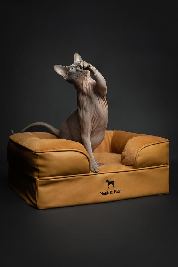 NOAH & PAW Small Dog Bed, 20x15x8 Inch, Cat Bed for Indoor Cats, Orthopedic Eggshell Memory Foam Infused with Cooling Gel, Water Resistant Inner Cover Machine Washable (Faux Leather) - Image 3