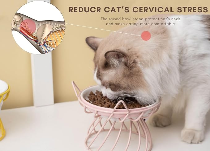 Set of 2 Elevated Ceramic Cat Dishes, Pink & Blue | Pink & Blue Set Detachable Bowls Elevated Design Whisker Friendly Non-Slip Pads - Image 4