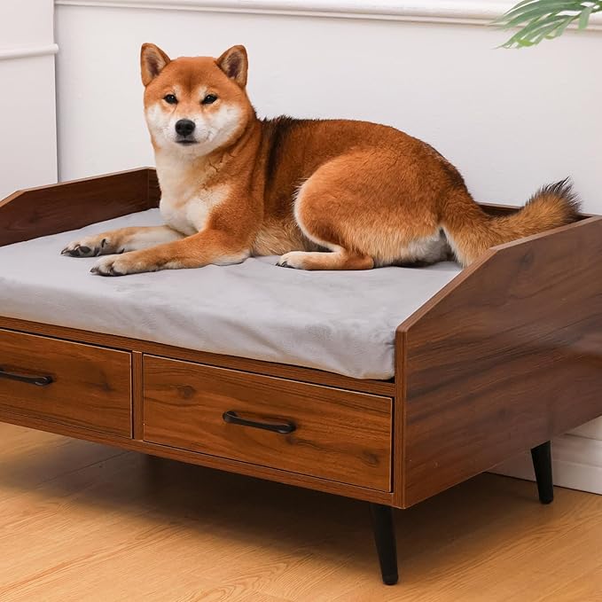 Elevated Dog Bed for Small to Medium Dogs – 32” x 21” Indoor Wooden Pet Sofa with Soft Cushion, Mid-Century Modern Style, Sturdy & Stylish (Walnut)