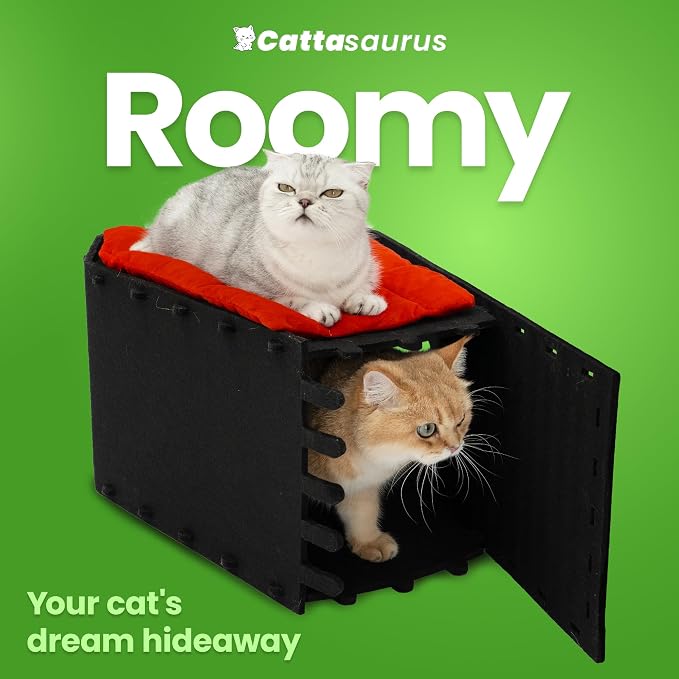 Cattasaurus Holiday Portable Cat House, Foldable Cat Beds for Indoor Cats, Enclosed Peekaboo Cave for Multiple Cats up to 26 lbs, Scratch Resistant Bunk Beds for Halloween, Christmas (Gothic Coffin) - Image 5