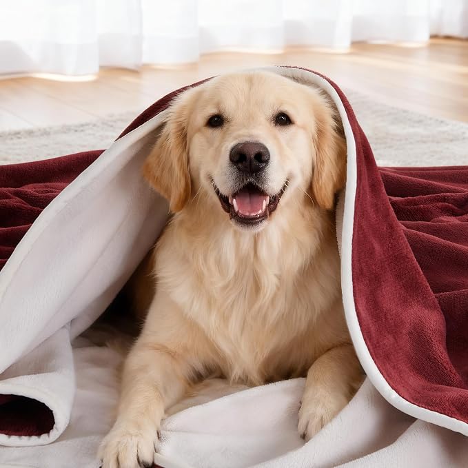 LOOBANI Waterproof Dog Blanket for Couch, Soft Couch Cover 50" x 60", Red | Pet Blanket for Medium Large Dogs, Double Side Liquid-Proof, Reversible Flannel Bed Throw for Sofa, Travel, Hair Resistant - Image 2