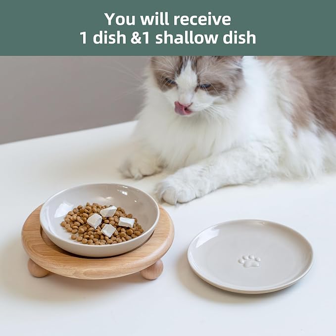 Havniva Elevated Cat Bowls, Raised Ceramic Cat Bowl with Stand, Two Heights | Cat Food & Water Bowl Set, Whisker Friendly, 5.6” Raised Cat Dishes + 6” Shallow Cat Plates, Non-slip Wood Stand, Kitten Bowl - Image 6