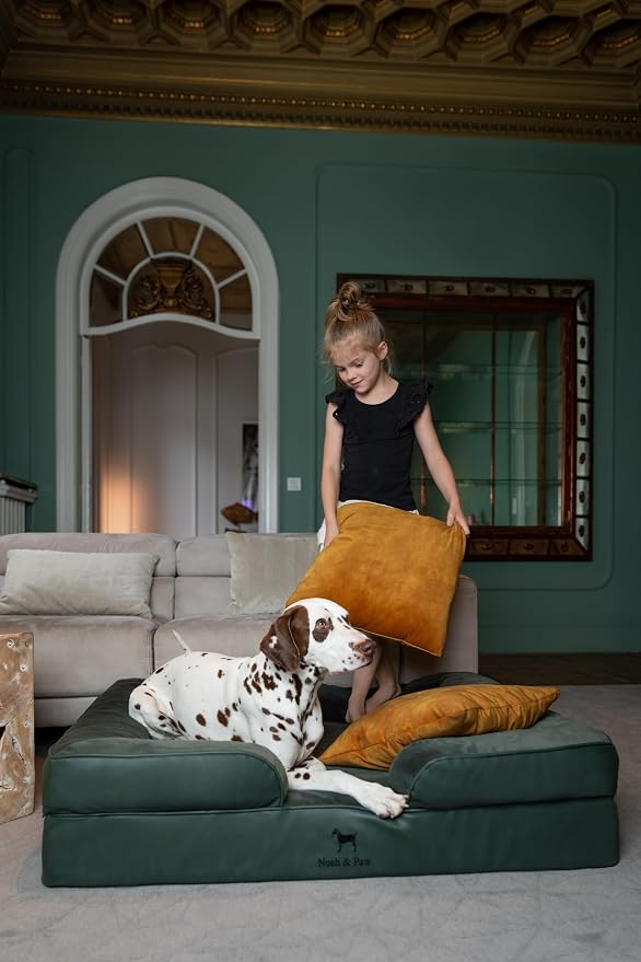 NOAH & PAW XL Dog Bed, 45x35x11 Inch, Orthopedic Large Dog Beds, Eggshell Memory Foam Infused with Cooling Gel, Inner Cover, Water Resistant, Machine Washable (Faux Leather) - Image 2