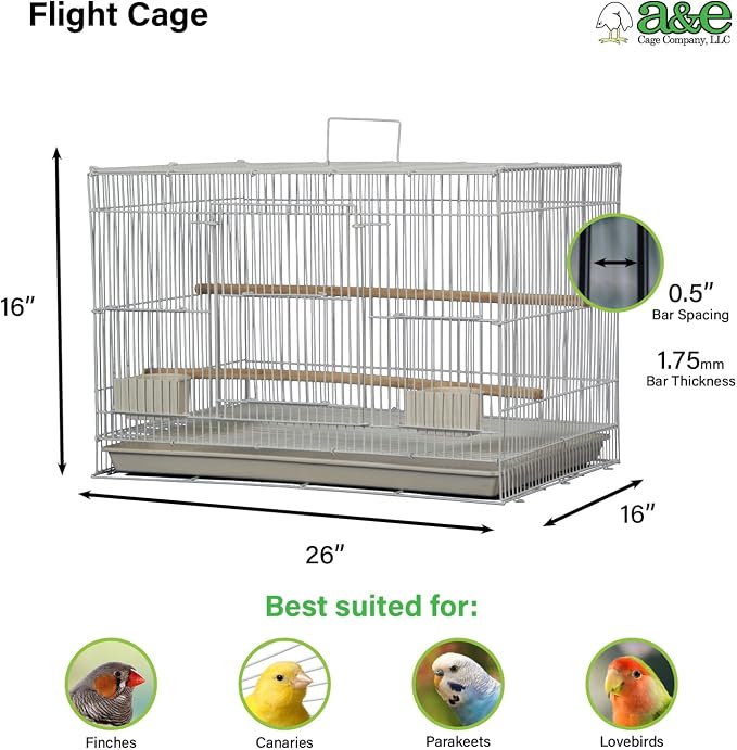 A&E Cage Co 503 Flight Bird Cage for Finches & Parakeets, 24"x16"x16" White | 2 Feeder Stations, Wood Perch, Slide-Out Cleaning Tray, Carry Handle, Safe Bar Spacing for Small Birds - Image 2