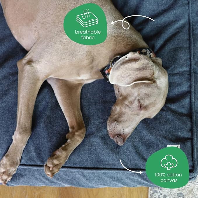 Molly Mutt Dragonstone Dog Bed Duvet Cover, GOTS-Certified 100% Cotton Canvas Cover for Dog, Puppy, or Cat Bed, Durable, Washable, and Free of Harmful Chemicals, Small, 22"x27"x5", Blue - Image 4