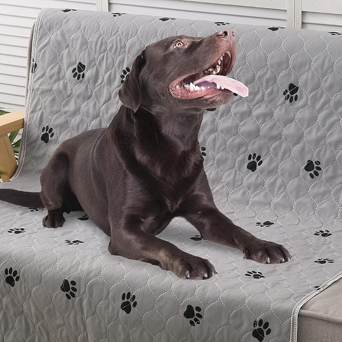 PUPTECK Washable Pee Pads for Dogs Dog Training Pads 2 Pack Grey 36x72 in | Reusable Puppy Potty Training Pads Whelping Mat Pet Food Feeding Mat Leakproof Fast Absorption Non-Slip for Couch, Crate - Image 9