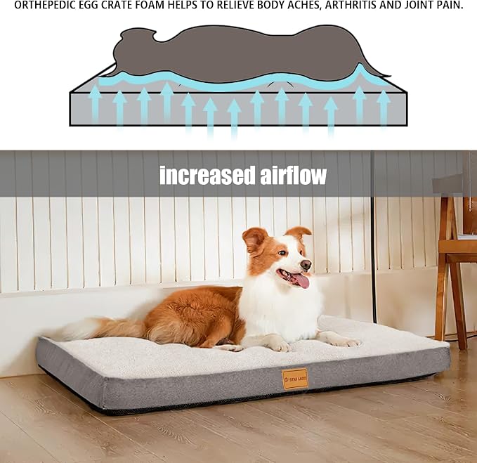 Patas Lague Orthopedic Large Dog Bed Washable Pet Sofa Mat 56''X40'' Ivory | Egg-Crate Foam Dog Couch For Large Sized Dogs, Waterproof Removable Cover, Soft Pet Crate Bed With Nonskid Bottom - Image 3