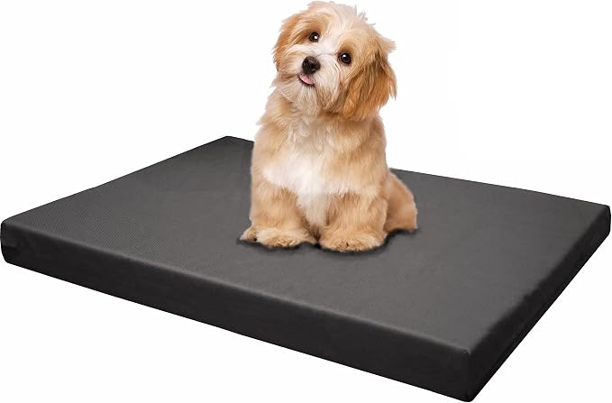 Dogbed4less Memory Foam Platform Dog Bed, Crate Mattress for Orthopedic Joint Relief with Waterproof Removable Cover Medium 35X22X3 Space Gray by Dogbed4less