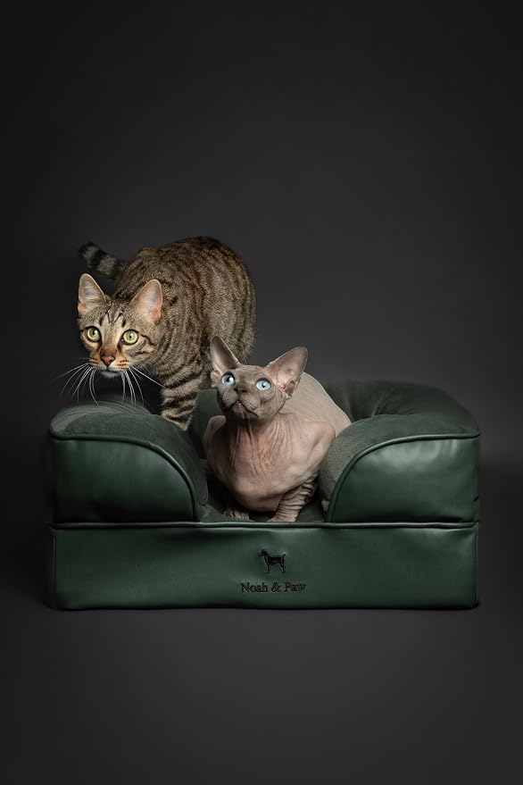 NOAH & PAW Small Dog Bed, 20x15x8 Inch, Cat Bed for Indoor Cats, Orthopedic Eggshell Memory Foam Infused with Cooling Gel, Water Resistant Inner Cover Machine Washable (Faux Leather) - Image 3