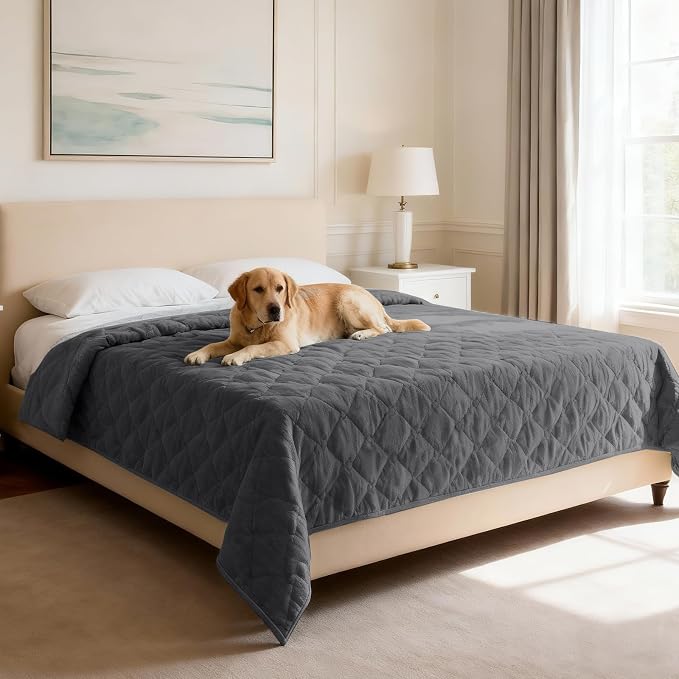 H.VERSAILTEX Couch Cover Chenille Pet Fuzzy Sofa Covers for 3 Cushion Couch and Bed Anti Slip Washable Sofa Slipcovers Soft Couch Protector Cover for Dogs Cats Kids(68" x 82", Grey) by HVERSAILTEX
