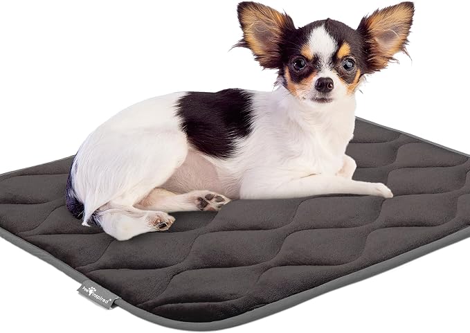 Paw Inspired Washable Padded Crate Mats for Dogs, Gray, 23x17 Inch | Fits 24-inch Kennels, Leakproof, Waterproof Bottom, Plush Dog Pad, Pet Bed - Image 7